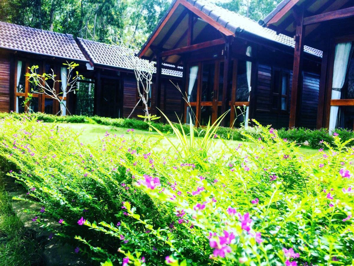 Roise Paradise Duong Dong Exterior foto